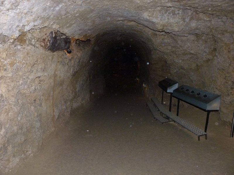 P1100019