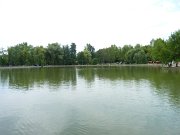 P1100101