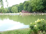 P1100104