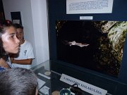 P1100108