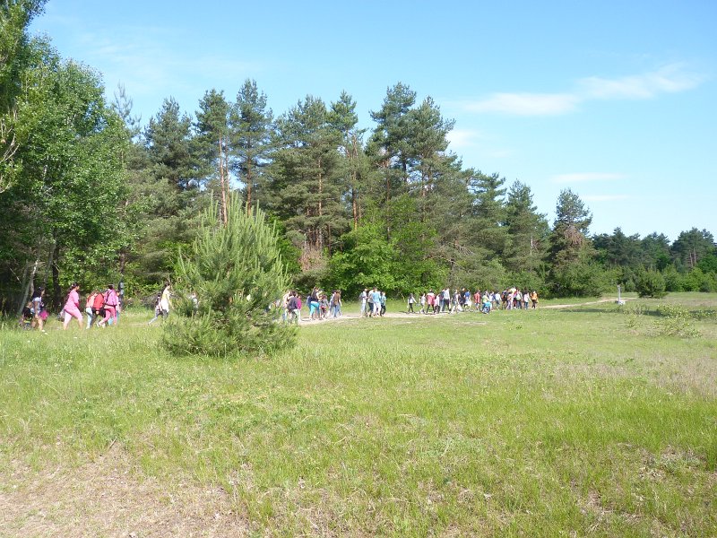 P1120579