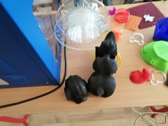 IMG_20220316_113231