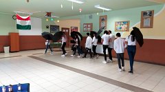 IMG_20221021_102833